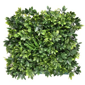 Mirpol Perete verde din plastic Aralia 50x50 cm