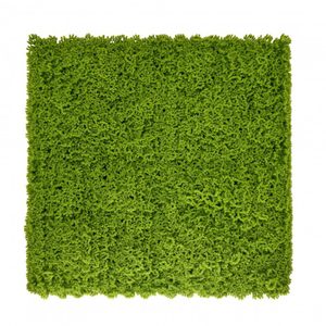 Mirpol Perete verde din plastic cu mușchi 50x50 cm