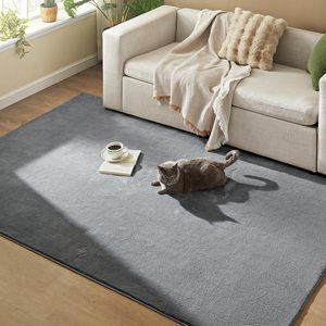 SONGMICS Covor decorativ antiderapant, lavabil la masina, 160×230 cm, gri