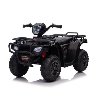 Quad electric negru